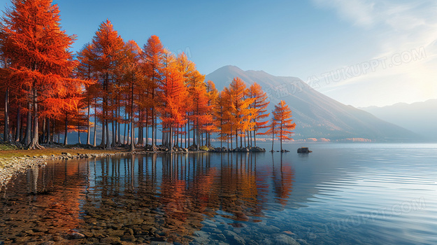 蓝桥杯基础知识总结